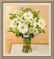 Garden Shed Florist, 418 Main St, Armonk, NY 10504, (914)_273-3653